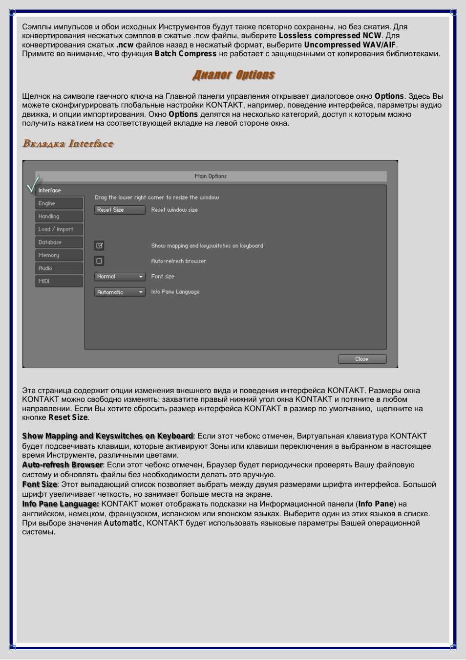 Диалог options, Вкладка interface