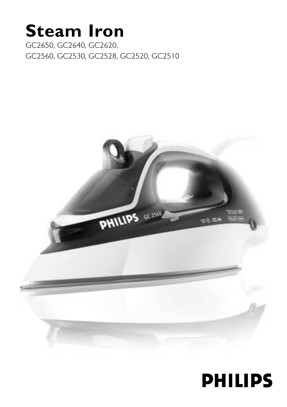 Steam iron