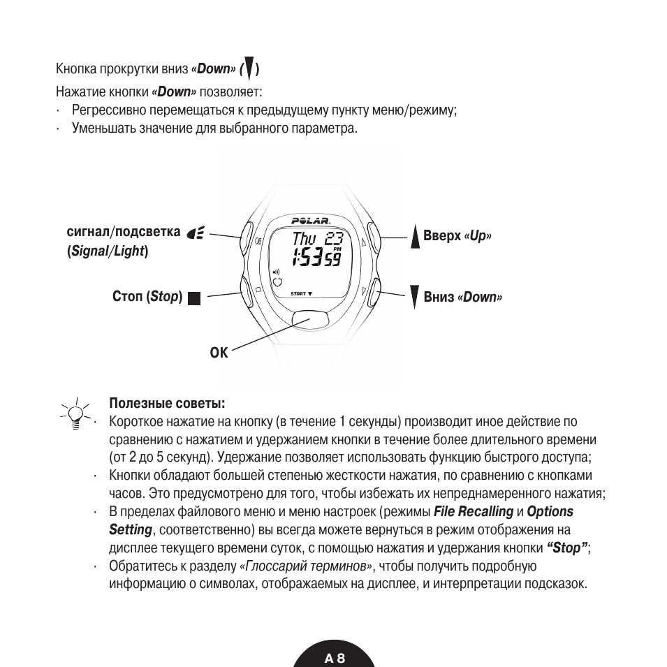  Кнопка прокрутки вниз ...