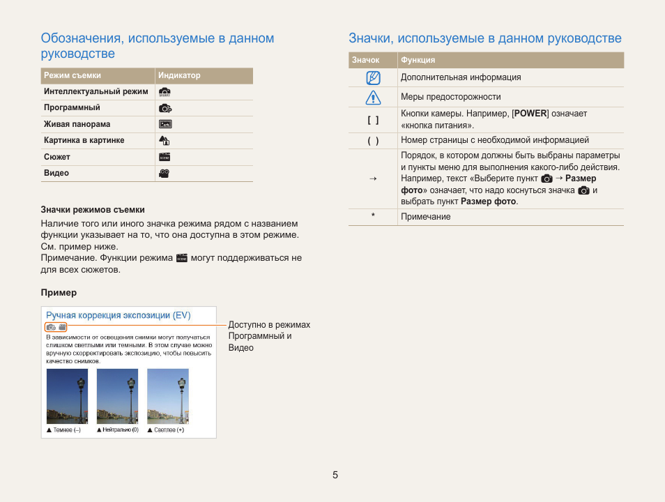 Обозначения, используемые в данном руководстве, Значки, используемые в данном руководстве