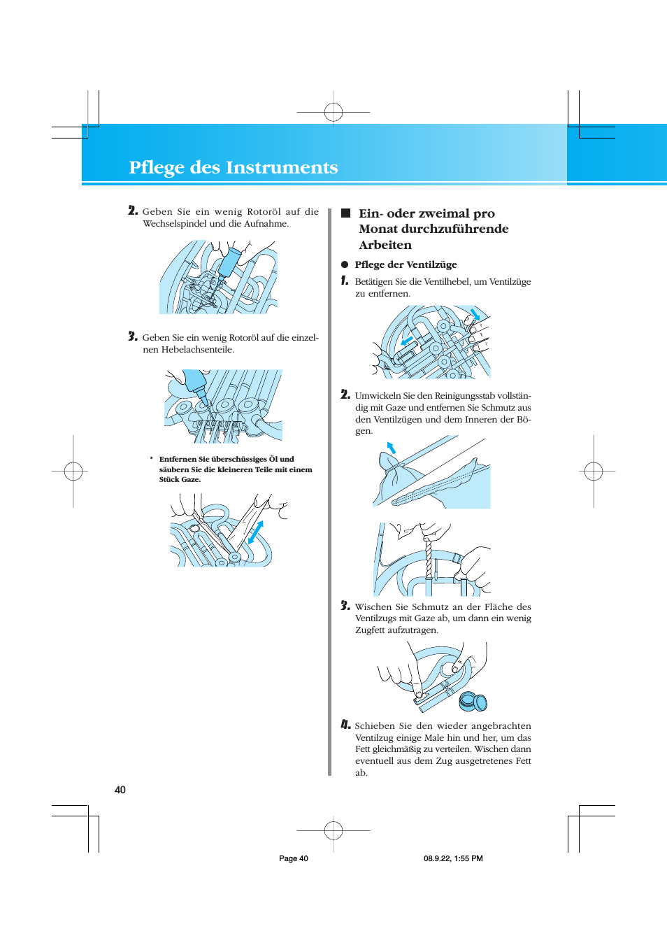 Pflege des instruments