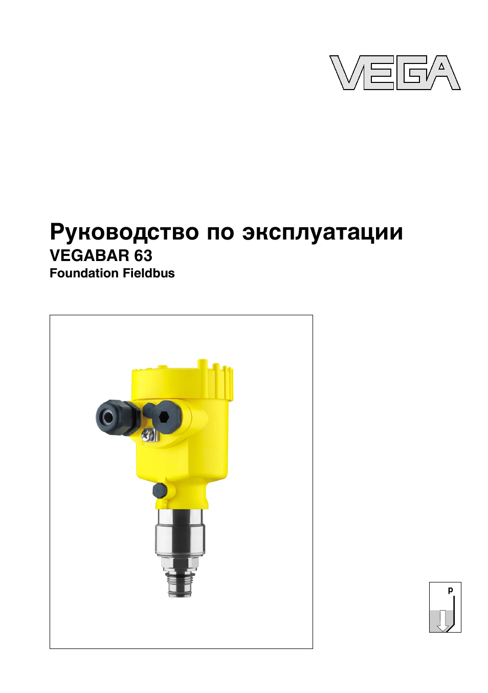 Руководство по эксплуатации
