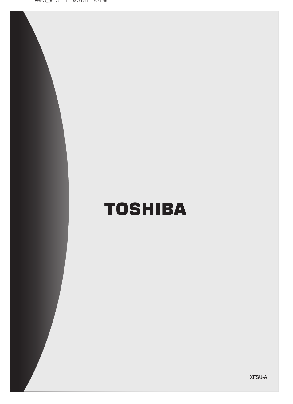 Toshiba