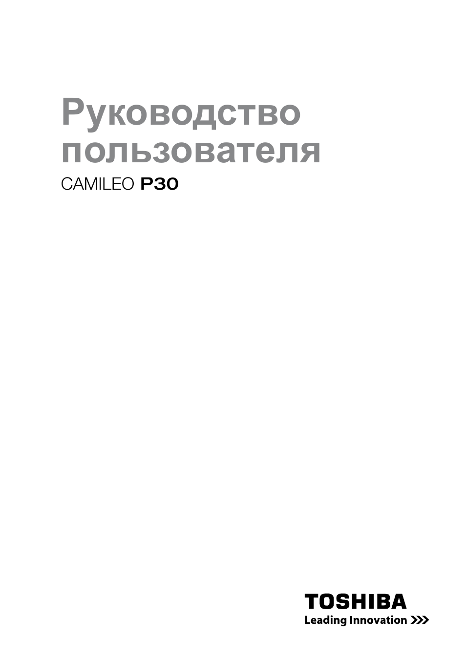 Руководство  пользователя Camileo P...