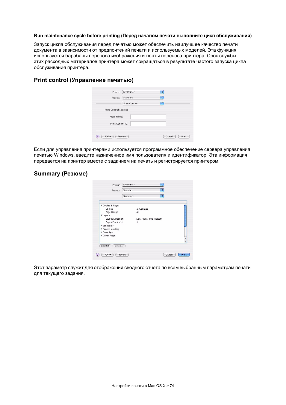 Print control (управление печатью), Summary (резюме)