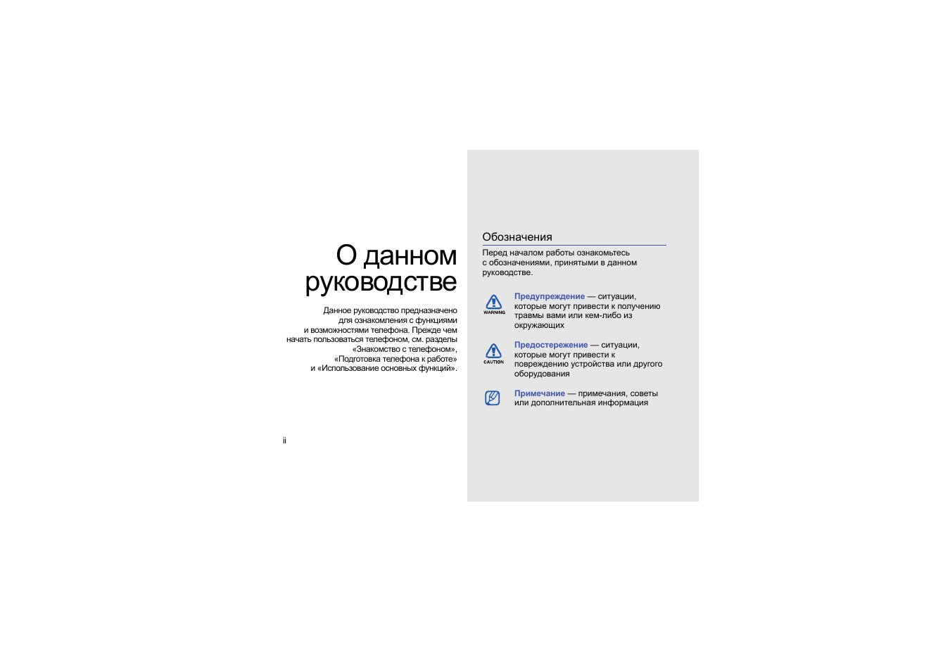 О данном руководстве