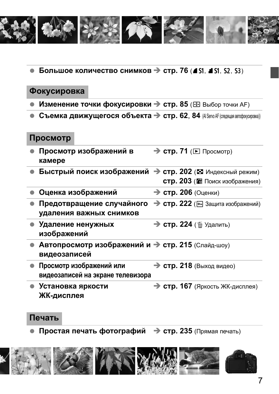 Фокусировка, Просмотр, Печать